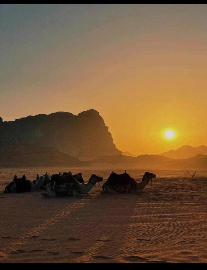 Caravan Station Camp Hotel Wadi Rum Exterior foto